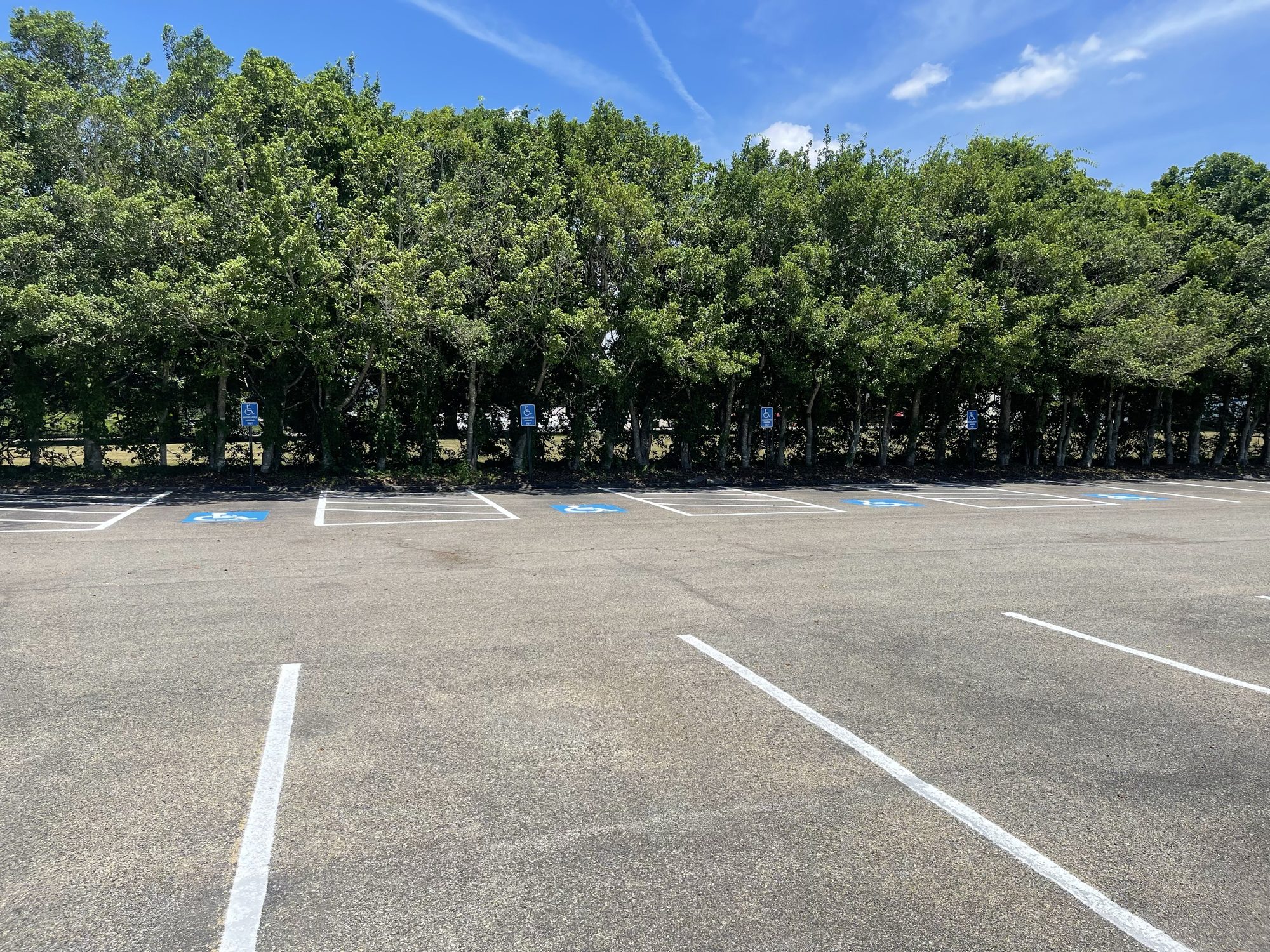 Row of ADA accessible parking stalls with blue symbols